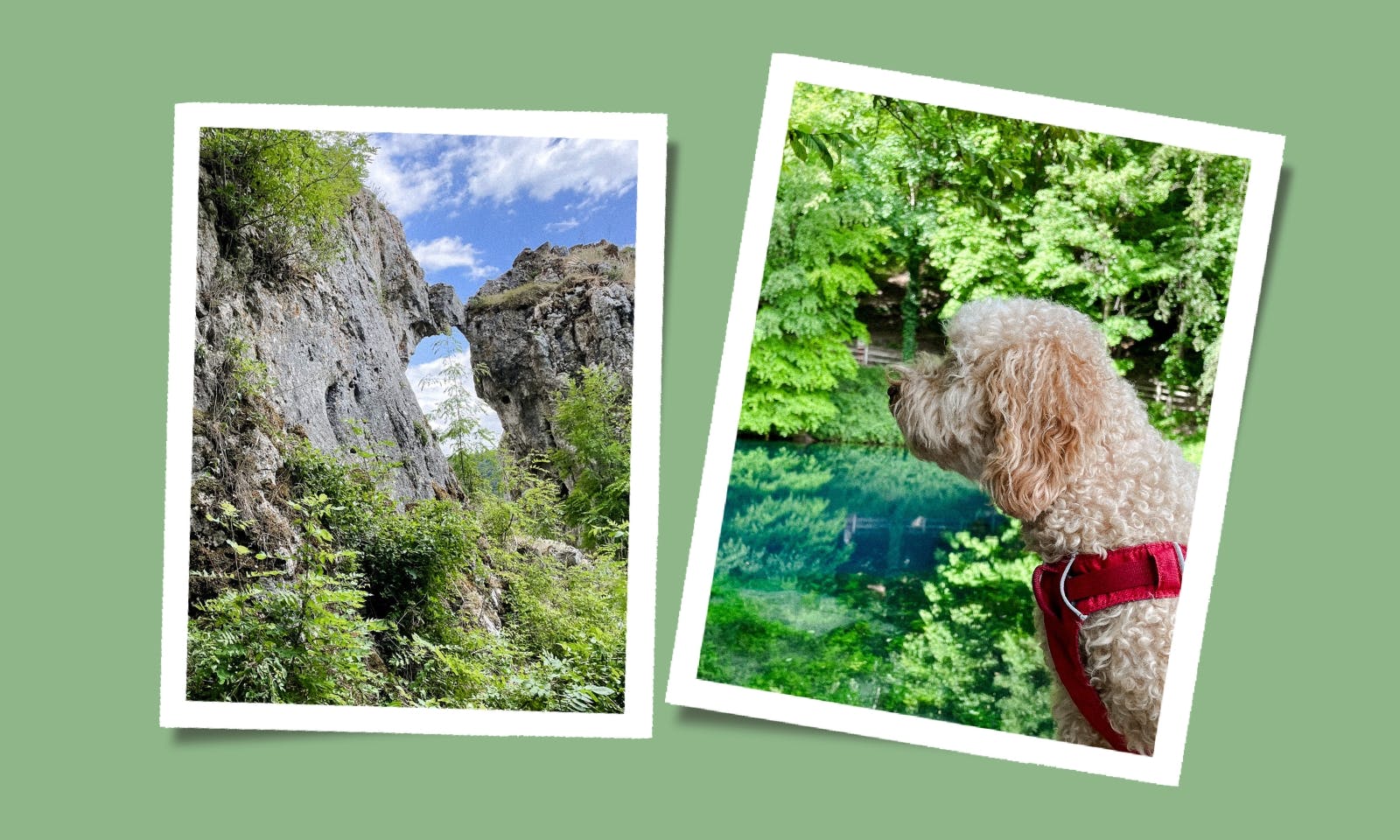 Entdecke Blaubeuren mit Hund: Ein Must-See in der Schwäbischen Alb