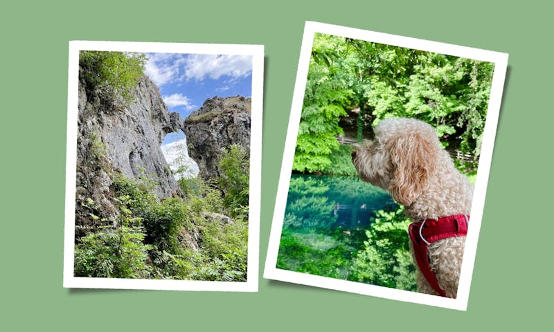 Entdecke Blaubeuren mit Hund: Ein Must-See in der Schwäbischen Alb