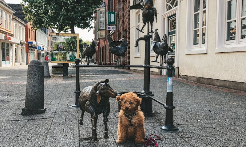 Innenstadt Aurich mit Hund