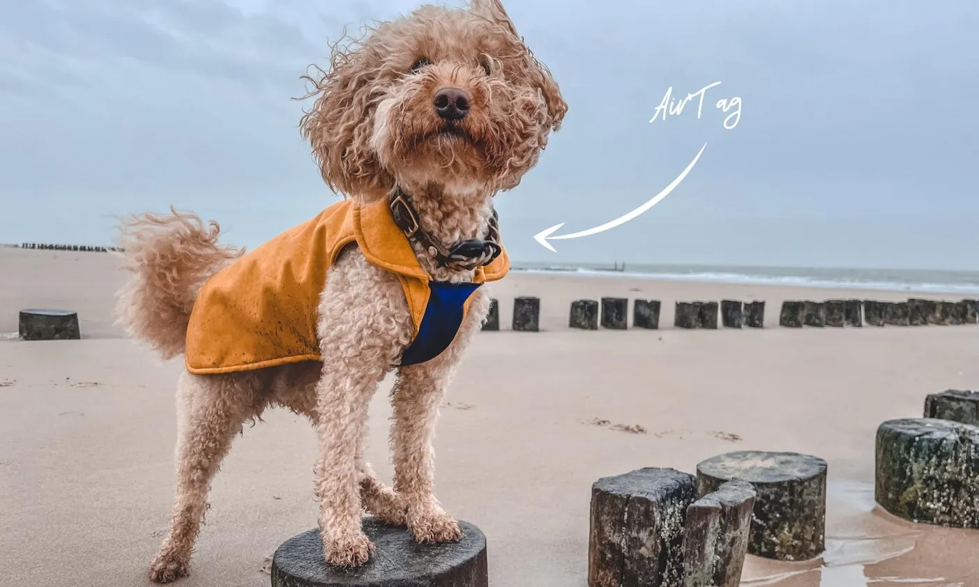 AirTag für Hunde