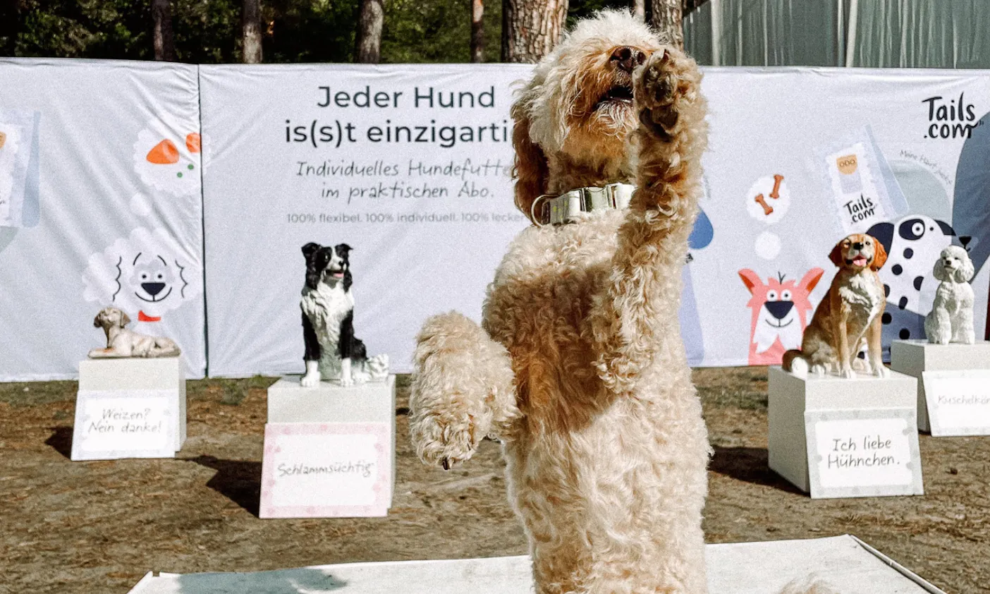 Tony Beachparty 2023: Petfluencer Awards Dogstyler Stand