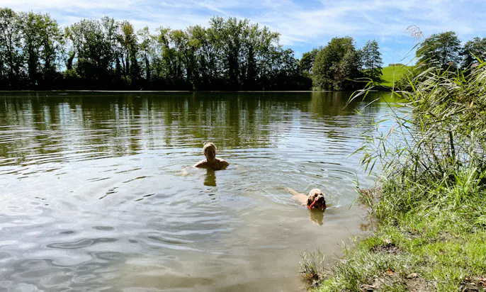Badesee mit Hund im Allgäu