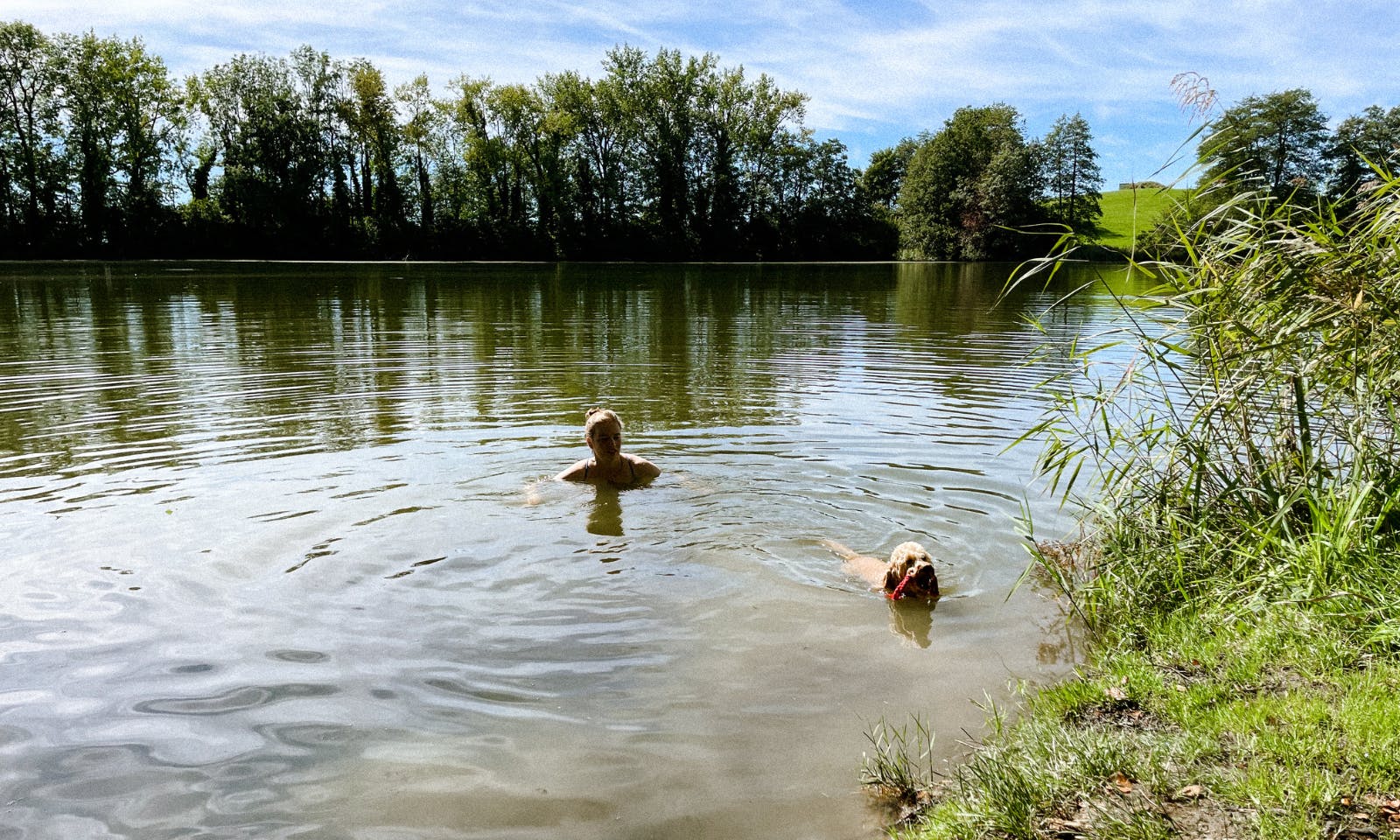 Badesee mit Hund im Allgäu