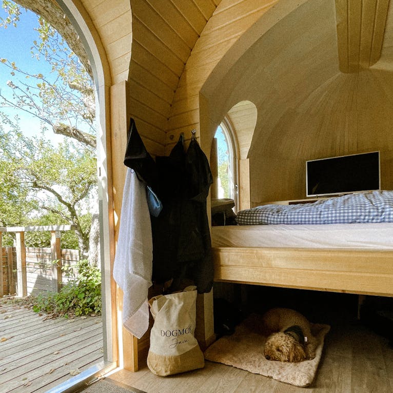 Glamping im Iglucamping mit Hund in Bayern