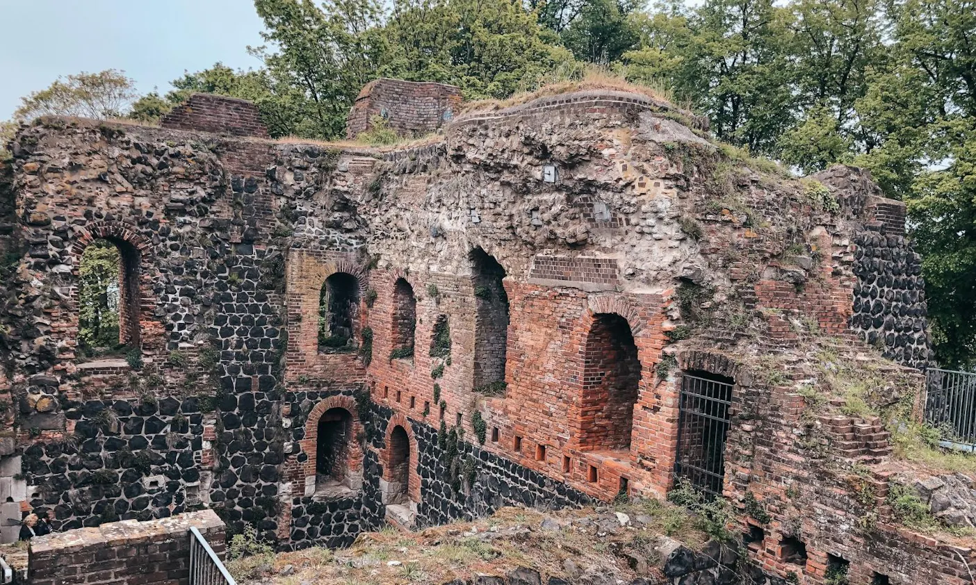Kaiserwerth mit Hund