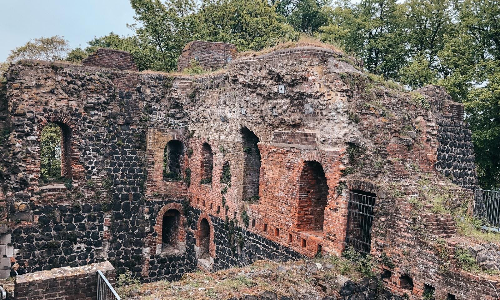 Kaiserwerth mit Hund