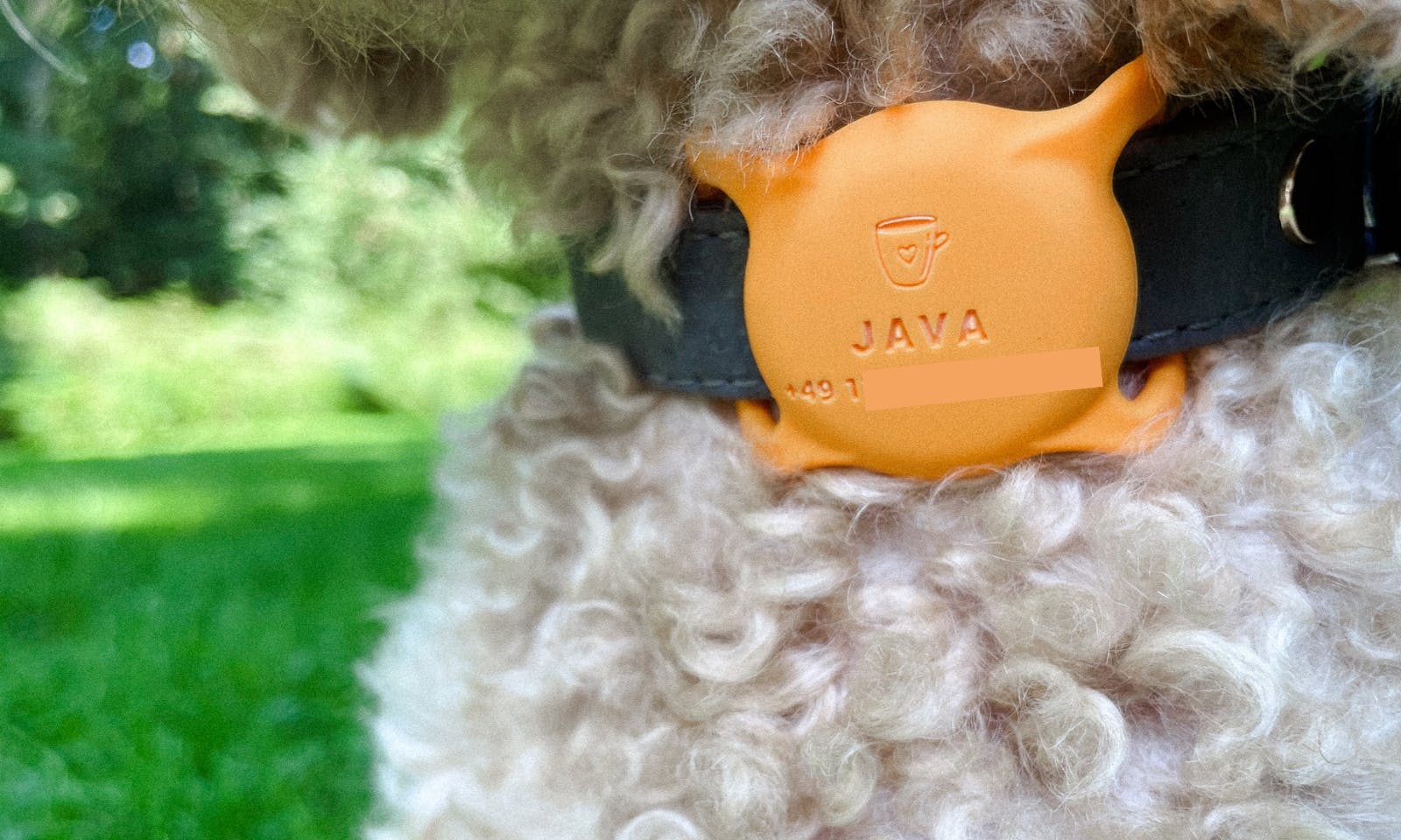 Telefonnummer am Hundehalsband für die Airtag Hülle von Apple