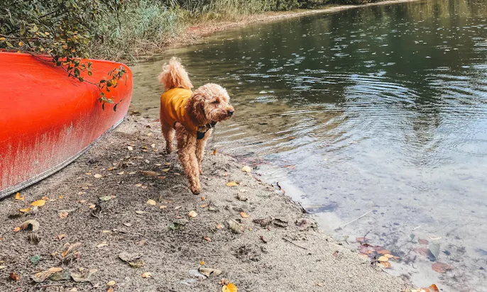 Urlaub mit Hund in Aurich