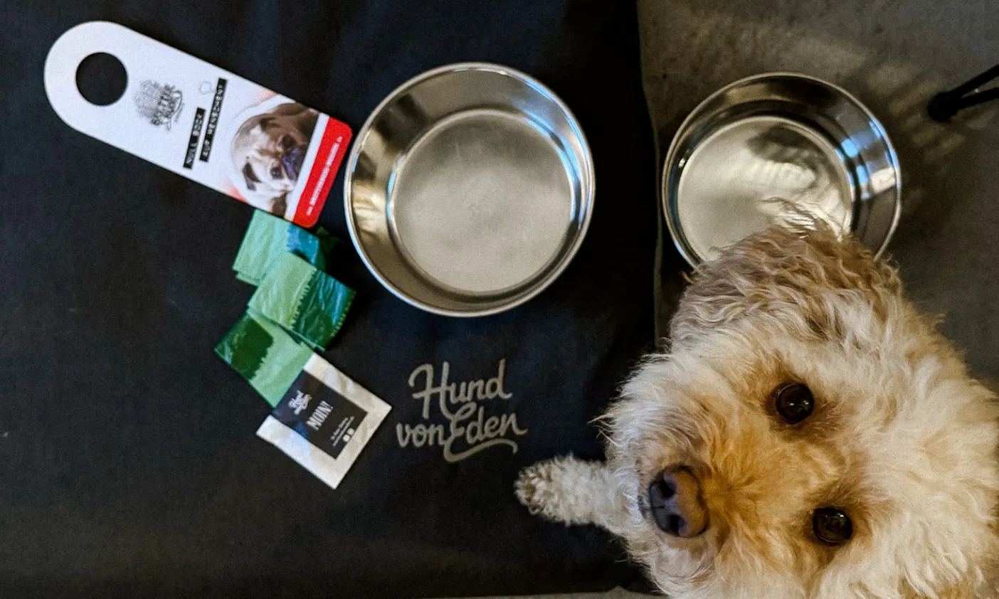 Hundeausstattung in den Heimathotels in der Bretterbude in Büsum