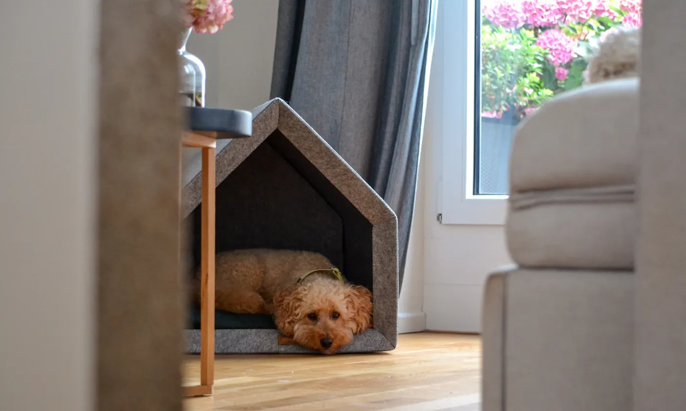 Minimalistische Hundehütte
