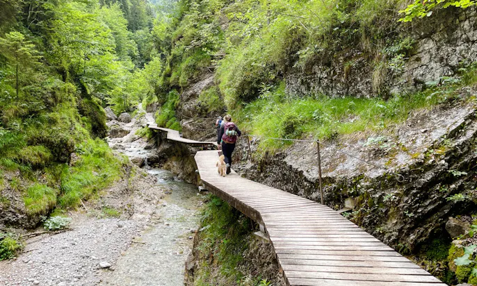 Hundefreundliche Aktivitäten am Wilden Kaiser