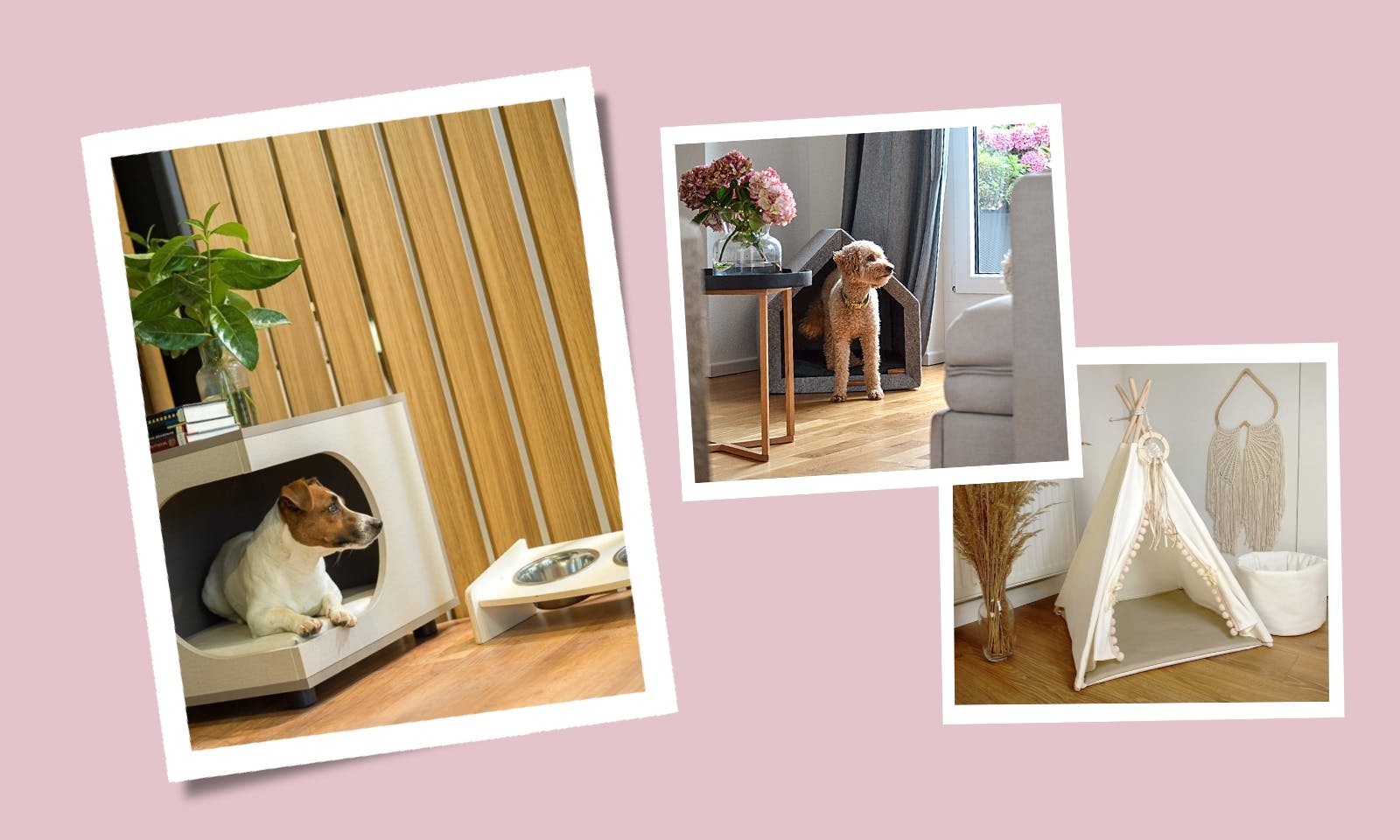 Besondere Indoor-Hundehütten für 8 unterschiedliche Einrichtungsstile