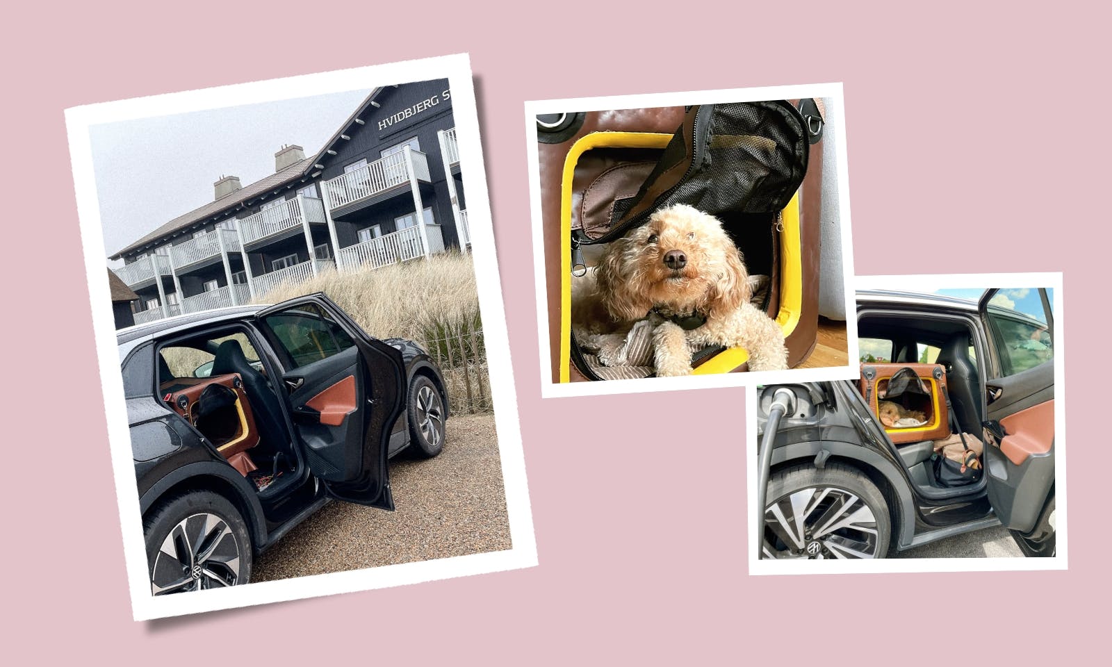 Testbericht für die Tami Hundebox für den sicheren Transport im Auto mit der faltbaren Tami Transporthundebox im Test für den ID.4