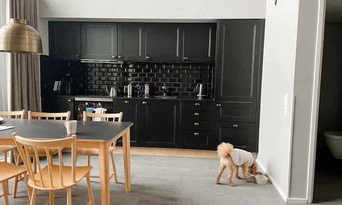 Hundebademantel von Goldhund