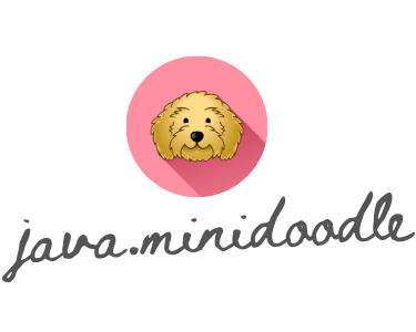 java minidoodle logo