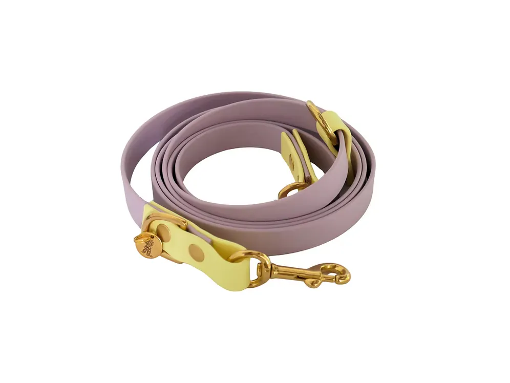 Fräulein Lotti Biothane-Leine in lila und butteryellow