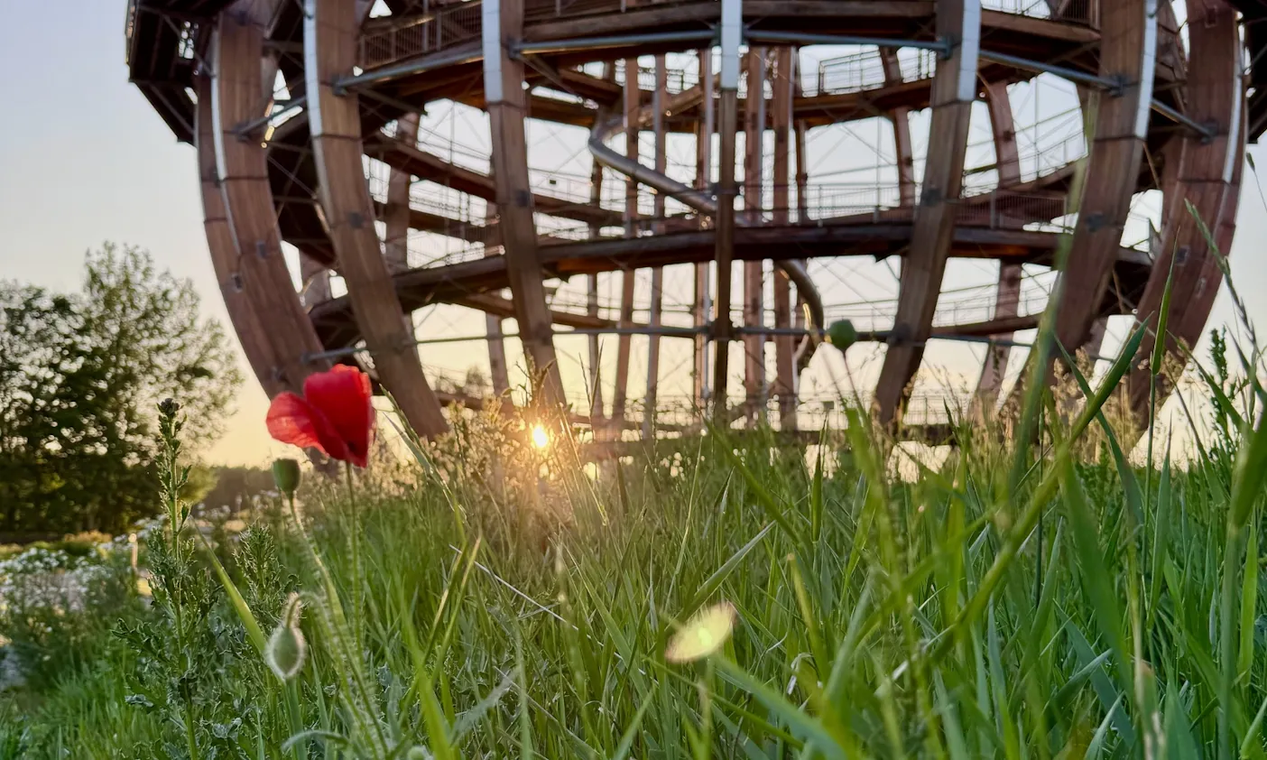 Erlebniskugel bei Sonnenaufgang