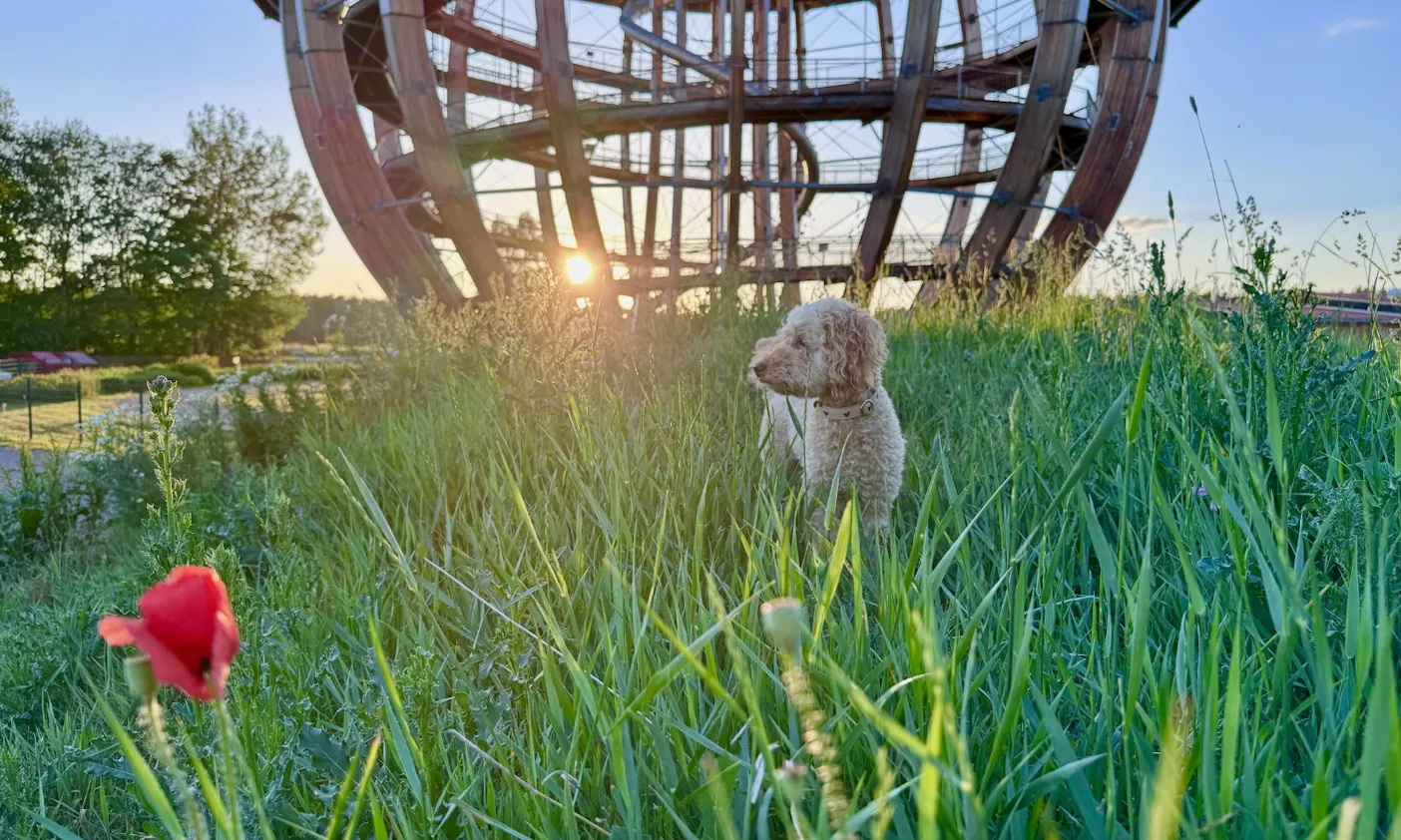 Erlebniskugel bei Sonnenuntergang