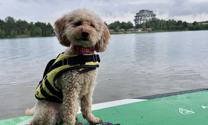 SUP auf dem Steinberger See in Bayern