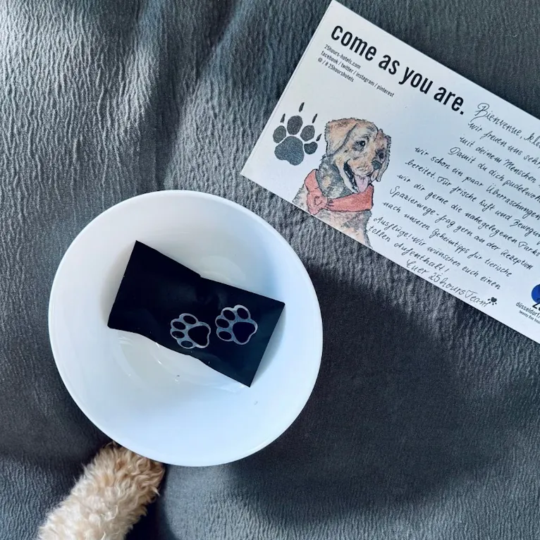 Hundeausstattung im 25hours Hotel in Düsseldorf