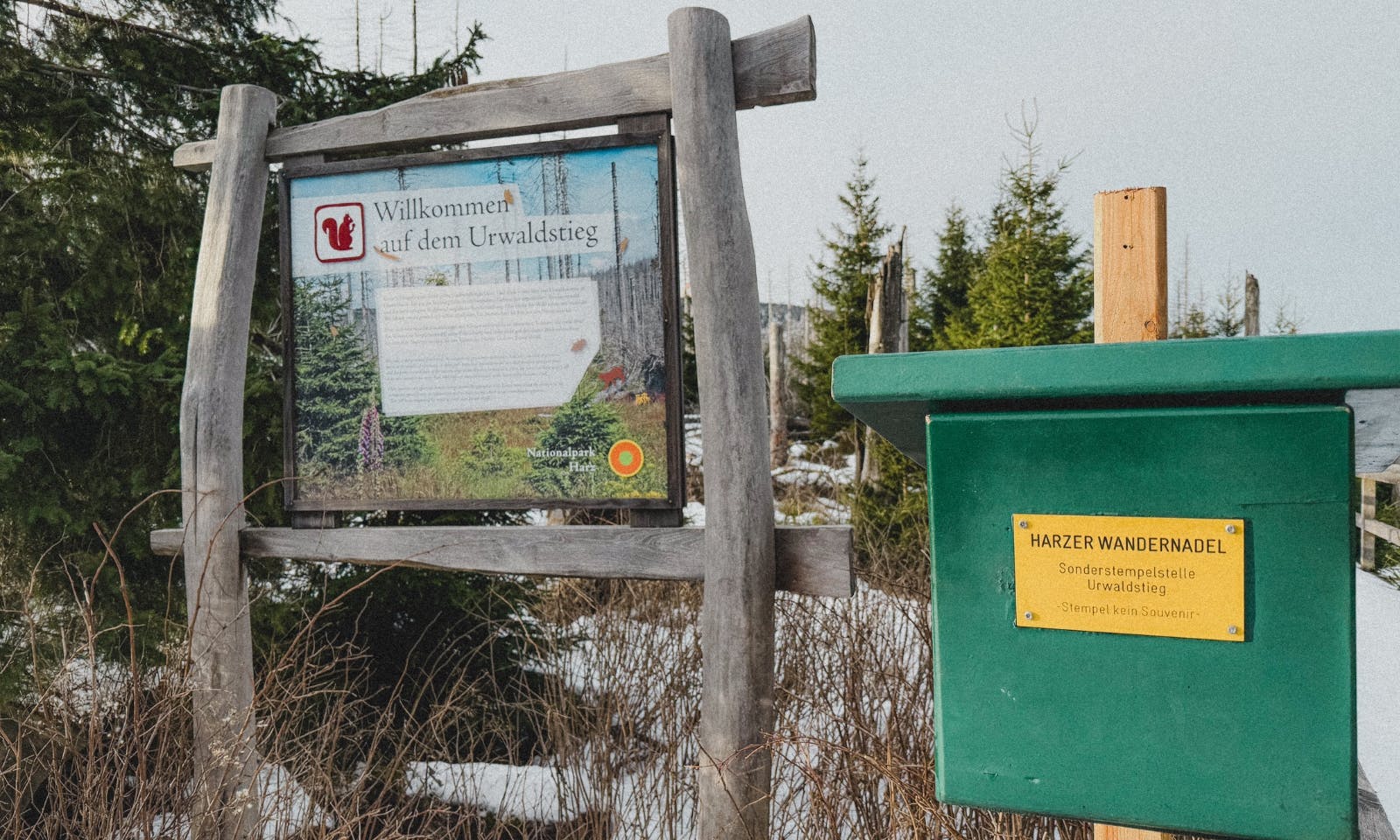 Stempelkasten auf dem Urwaldstieg im Harz