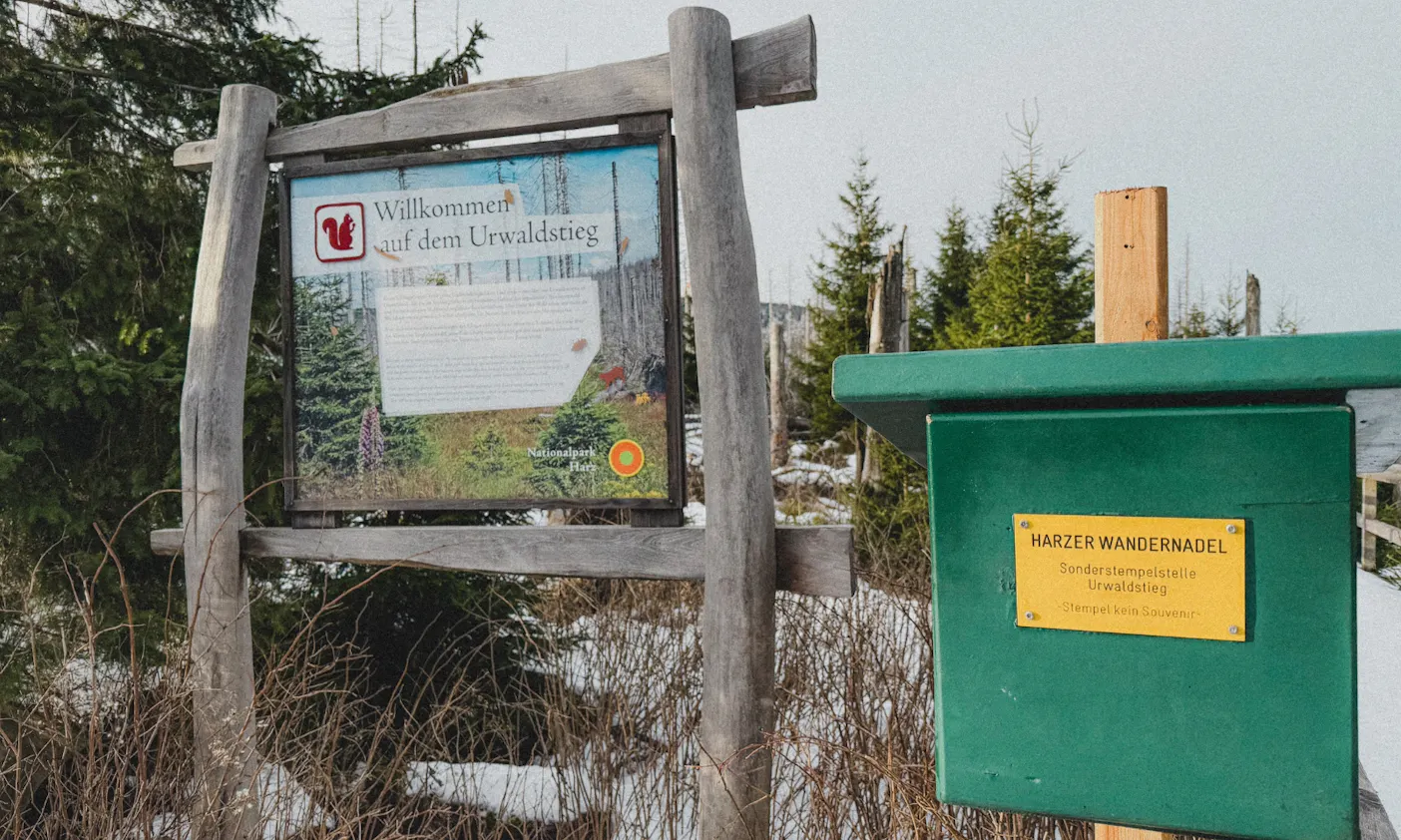 Stempelkasten auf dem Urwaldstieg im Harz