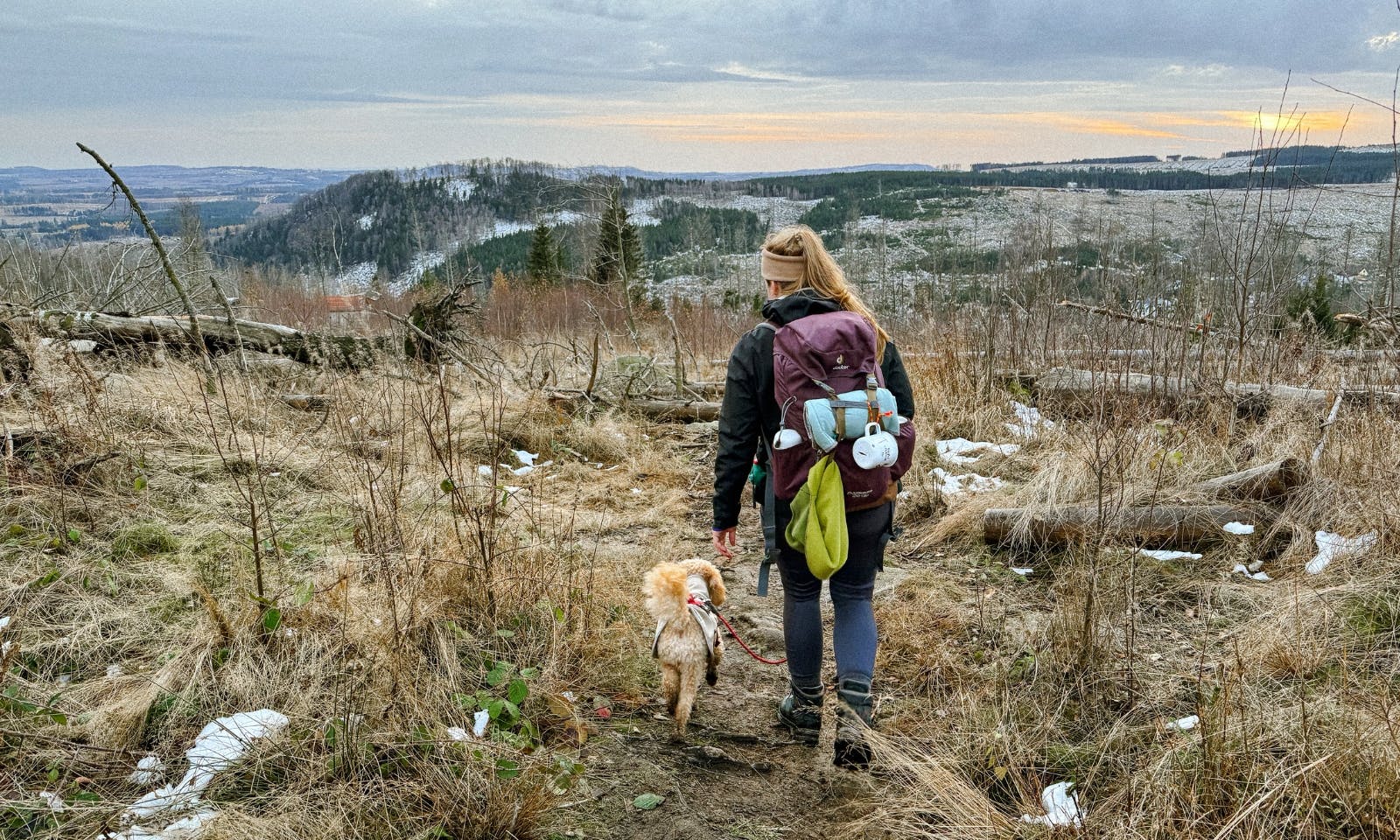 Frau mit Hund auf einem Wanderweg im Harz