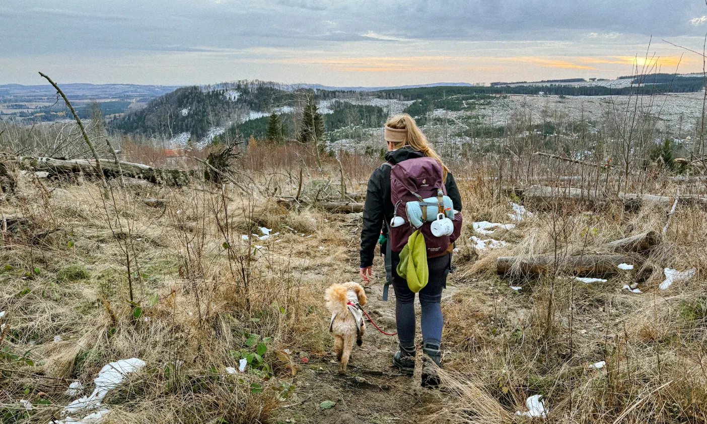 Mit Hunde im Nationalpark Harz wandern
