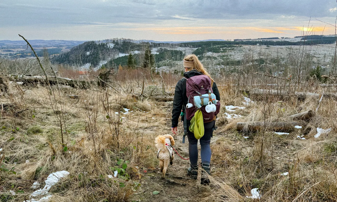 Frau mit Hund auf einem Wanderweg im Harz