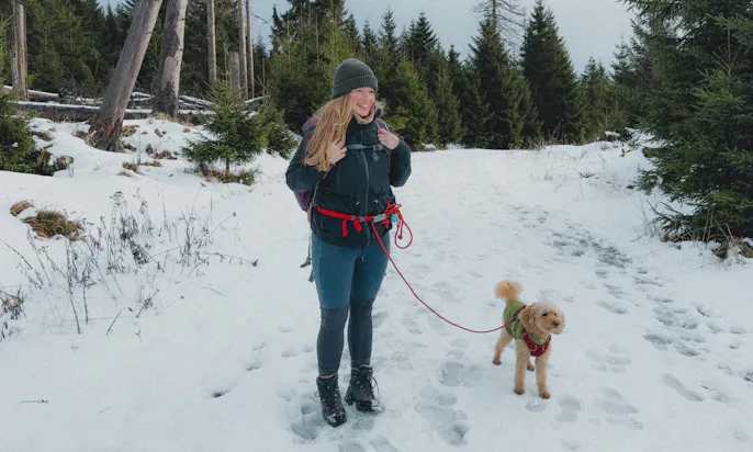 Frau mit Hund auf einem Schneebedeckten Weg zum Harzer Brocken