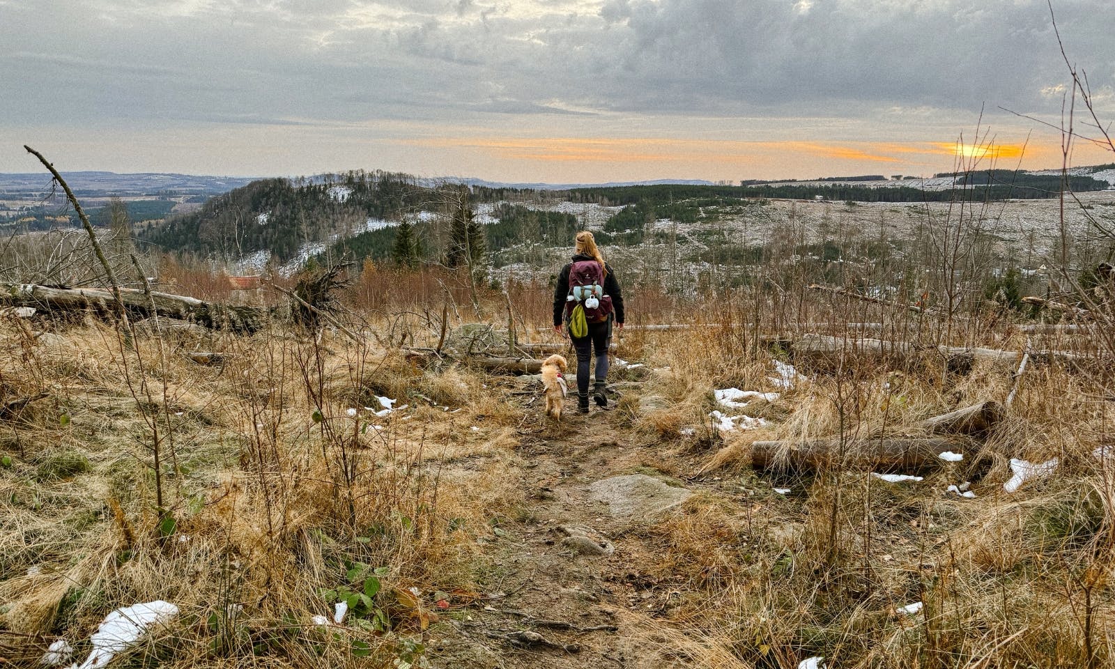 Frau mit Hund auf einem Waldweg im Harz