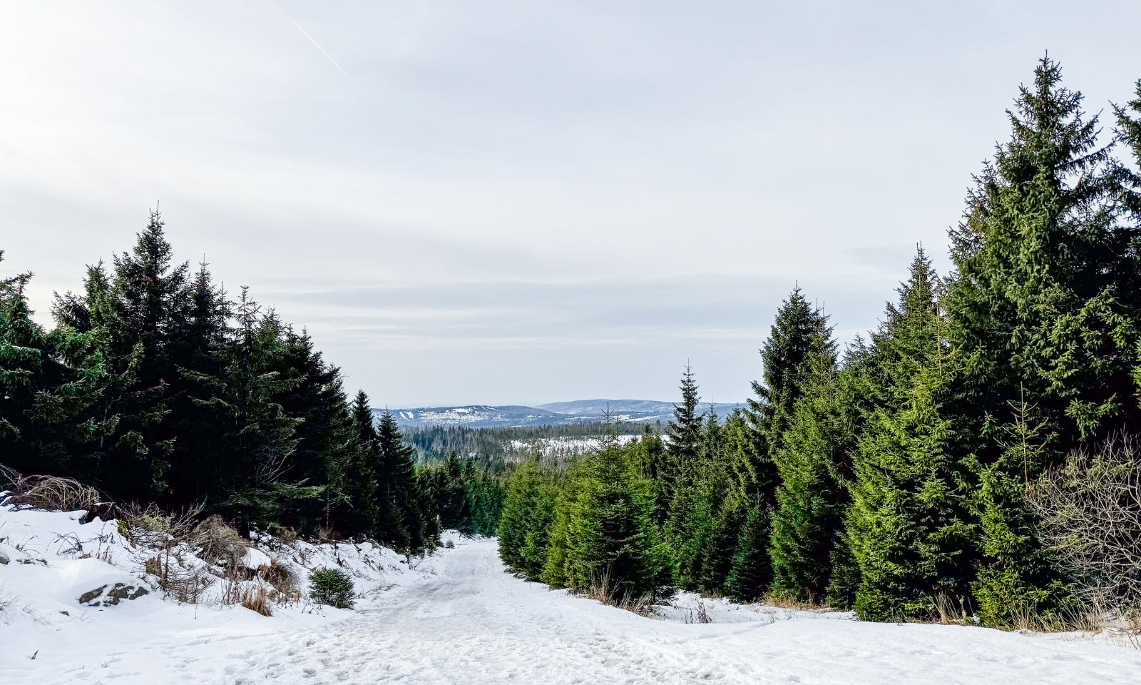 Ein Schnee bedeckter Wanderweg zum Harzer Brocken