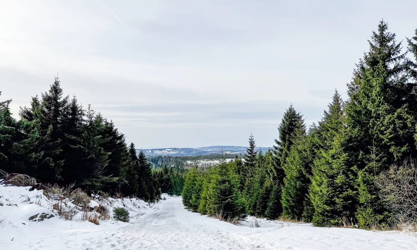 Ein Schnee bedeckter Wanderweg zum Harzer Brocken
