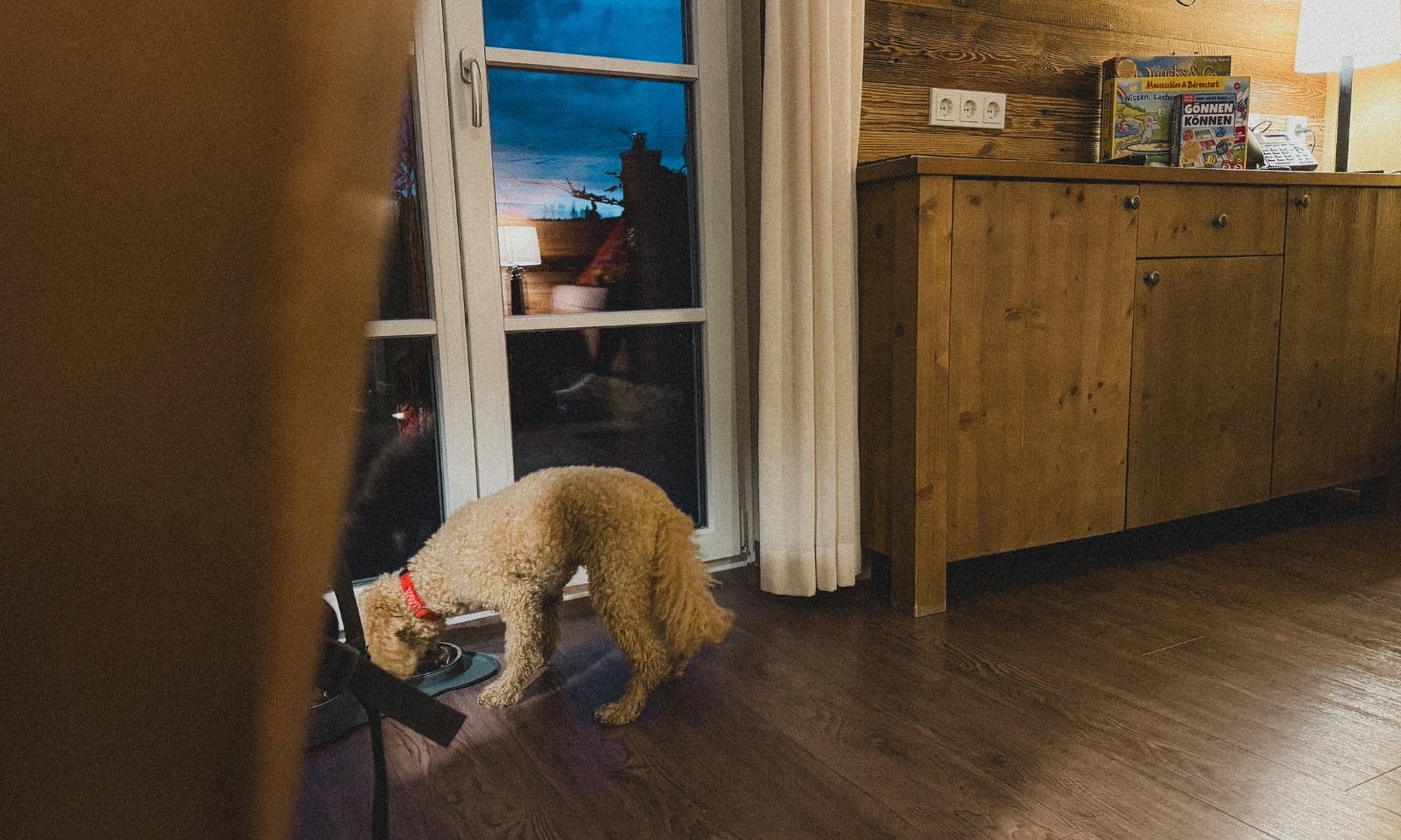 Hundefreundlichkeit im Schierke Harzresort