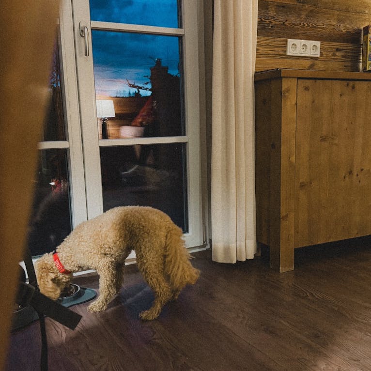 Schierke Harzresort Ferienhaus mit Hund – Stilvolles Holzhaus mit Terrasse und Blick auf den Harz, ideal für Hundemenschen.