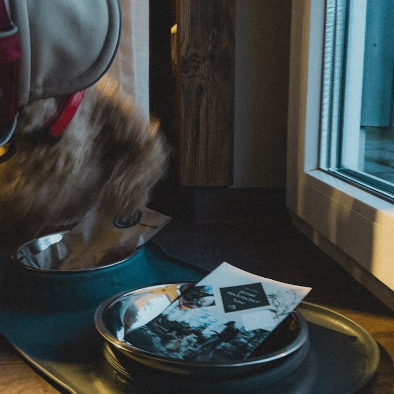 Wohnen am Nationalpark Harz – Ferienhaus mit Sauna, Kamin und hundefreundlicher Ausstattung.