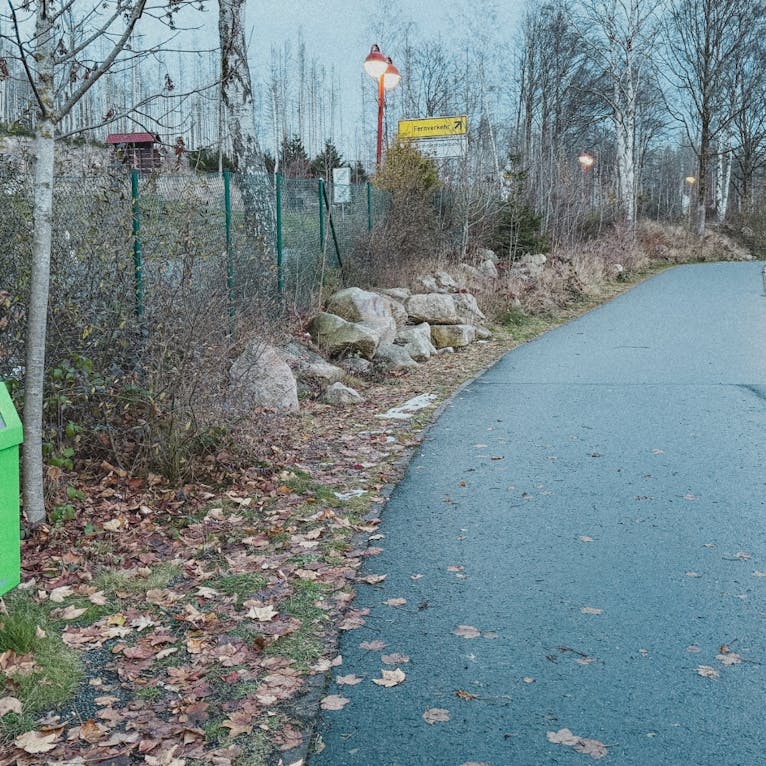Hundefreundliche Ausstattung am Schierke Harzresort in Sachsen-Anhalt