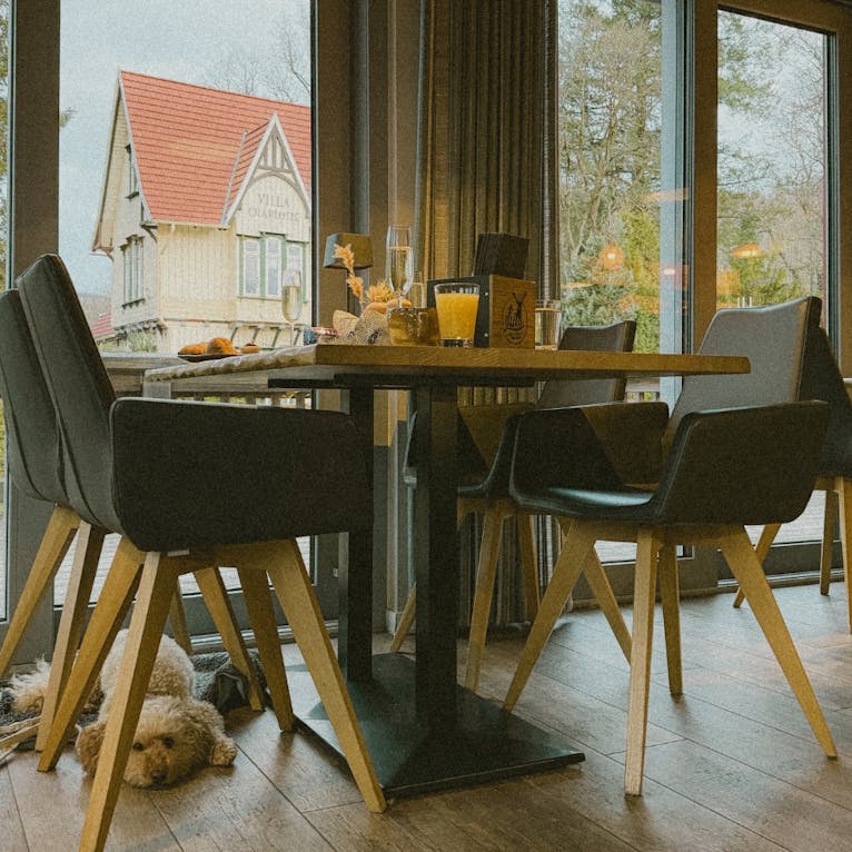 Hundefreundliches Restaurant im Schierke Harzresort