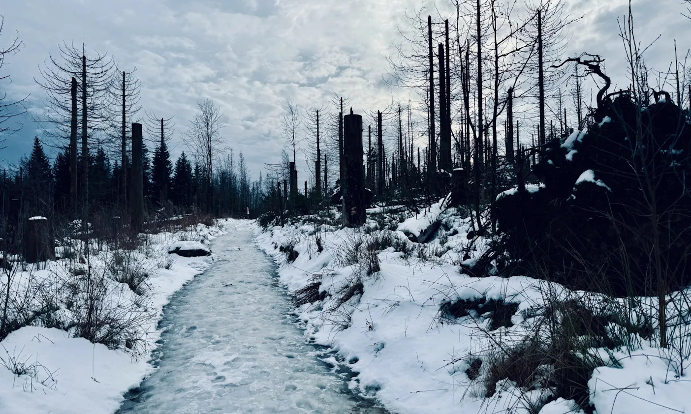 Ein Schnee bedeckter Wanderweg zum Harzer Brocken