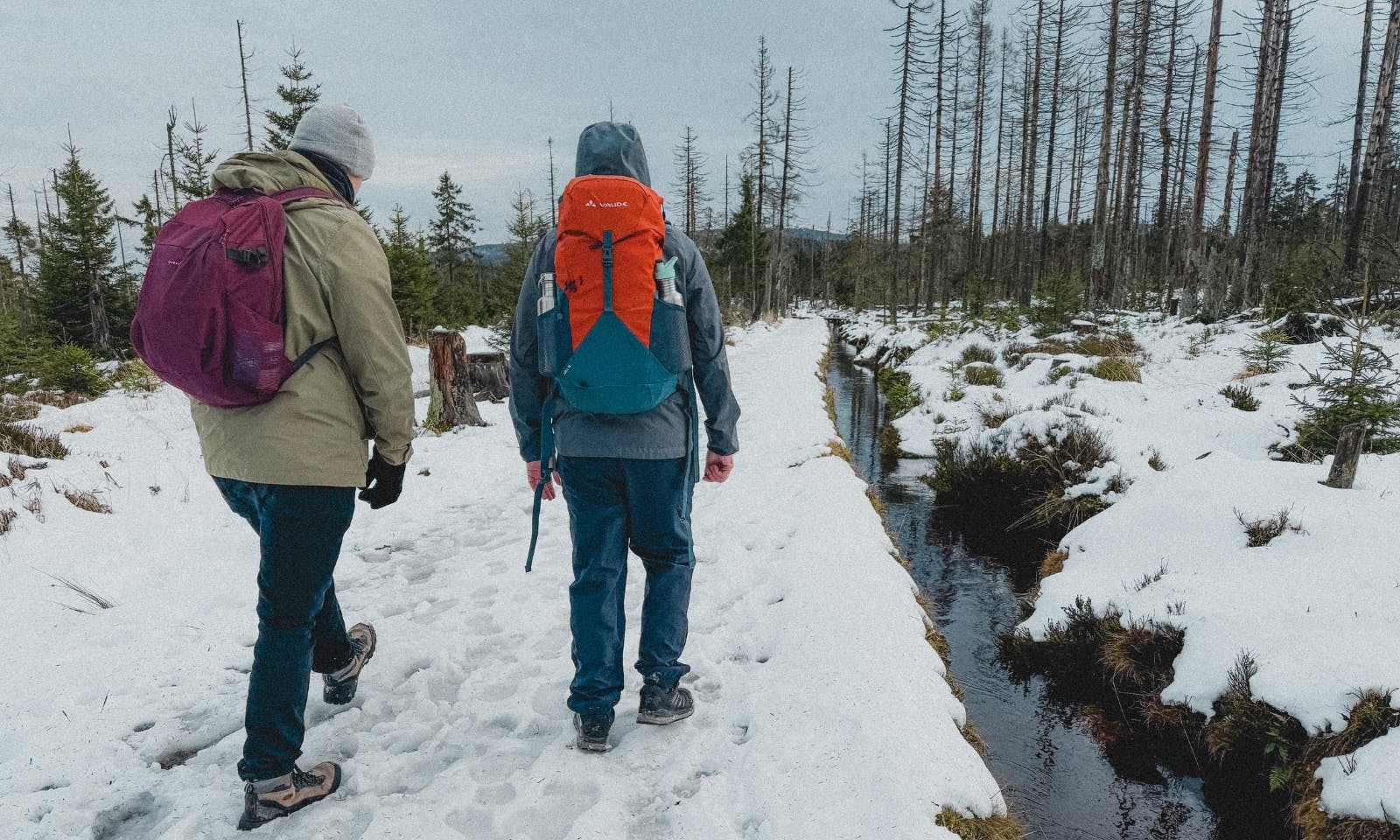 Dritte Etappe auf dem Harzer-Hexen-Stieg von Torfhaus – Brocken – Schierke mit Hund im Schnee