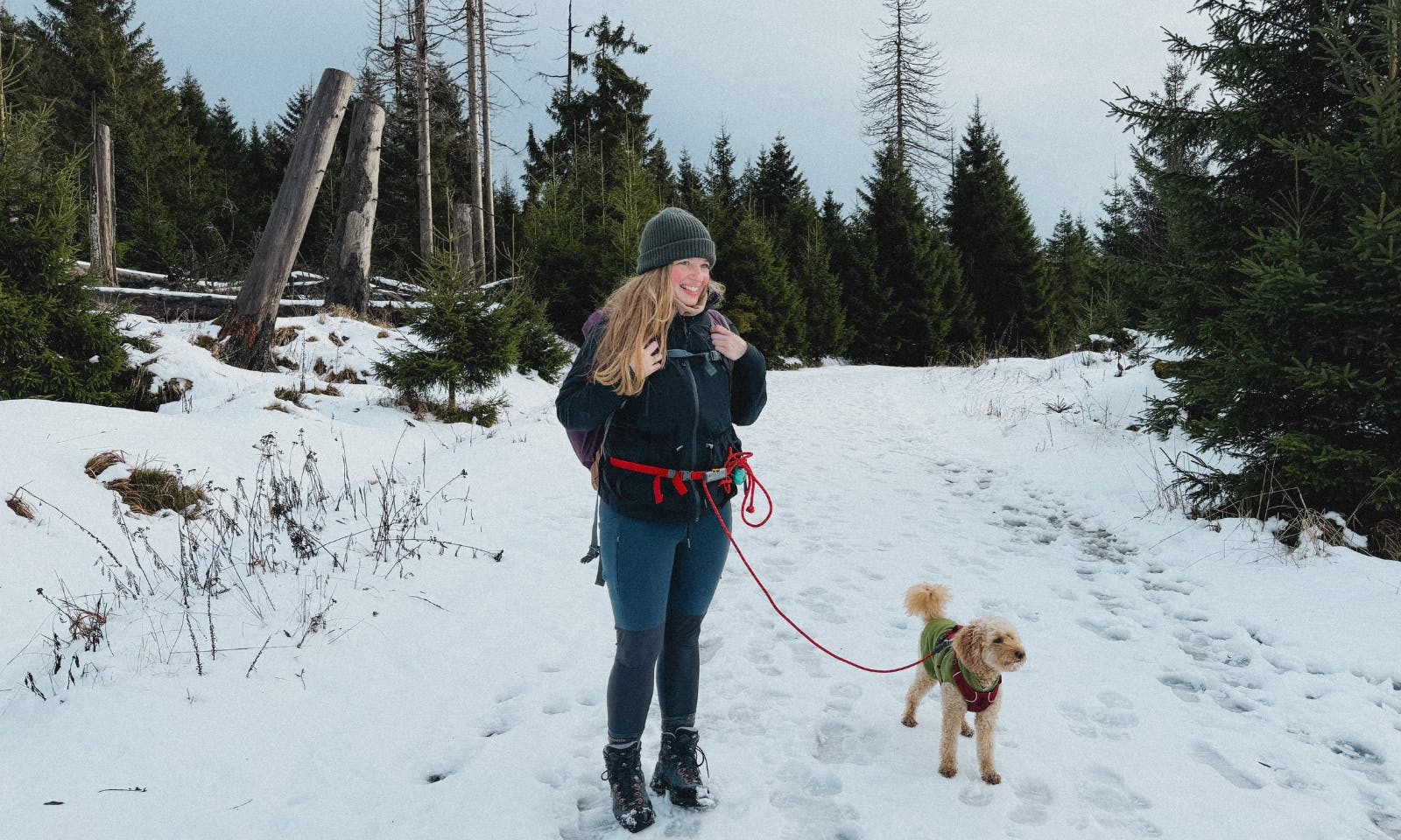 Dritte Etappe auf dem Harzer-Hexen-Stieg von Torfhaus – Brocken – Schierke mit Hund im Schnee