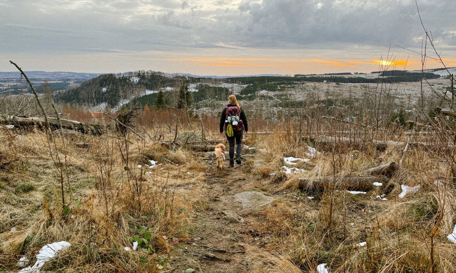 Etappe 3 Harzer Hexen Stieg im Winter mit Schnee und Sonnenuntergang
