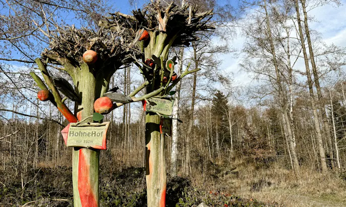 Hundefreundlicher Hohnehof auf dem Harzer Hexenstieg