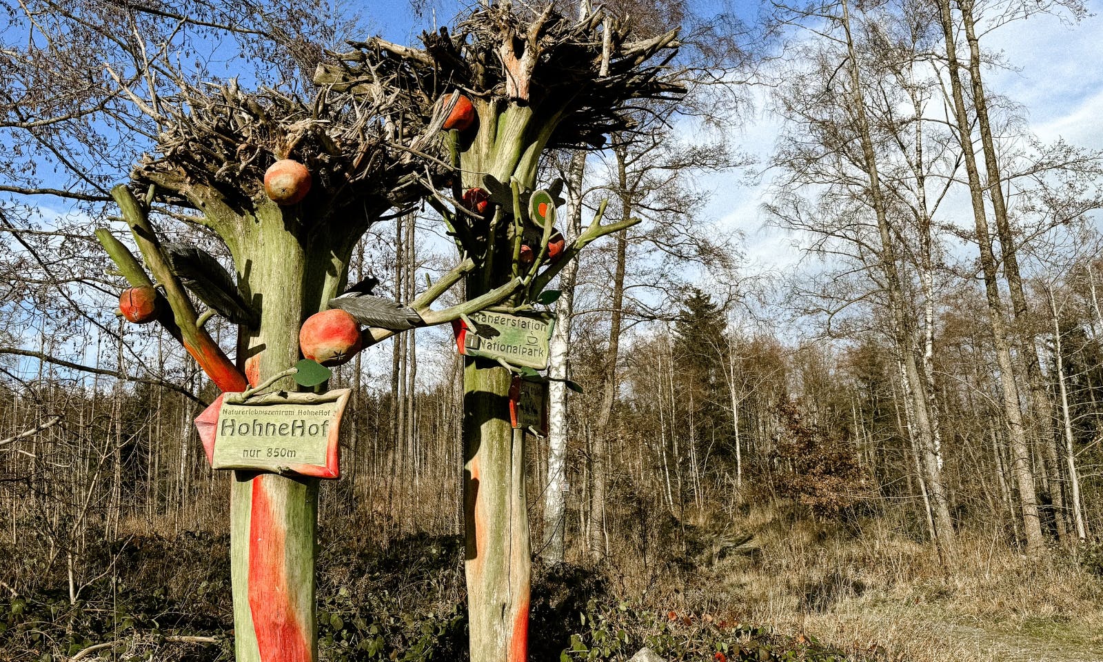 Hundefreundlicher Hohnehof auf dem Harzer Hexenstieg