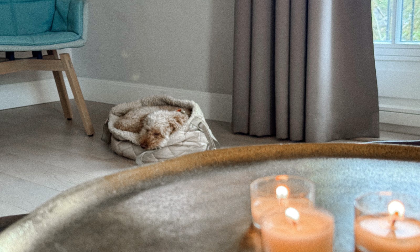 Hundefreundliche Unterkunft in Westerland