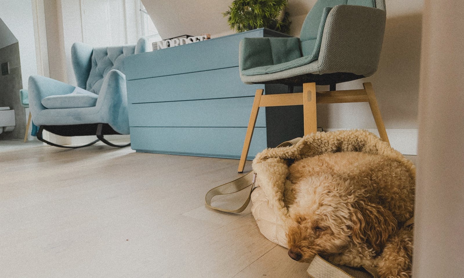 Hundefreundliche Unterkunft in Westerland