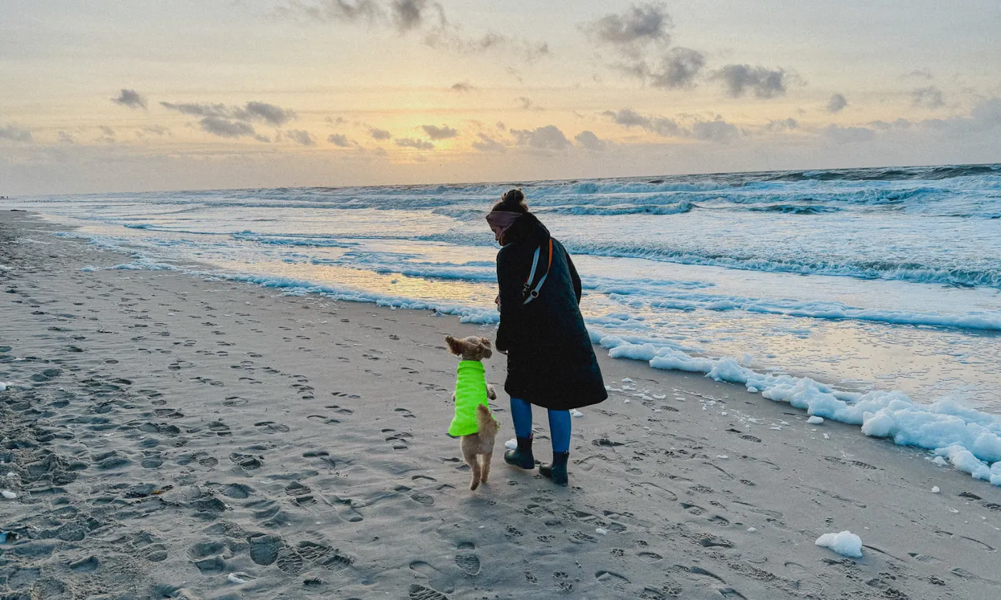 Sylt mit Hund an Silvester am Strand in Westerland