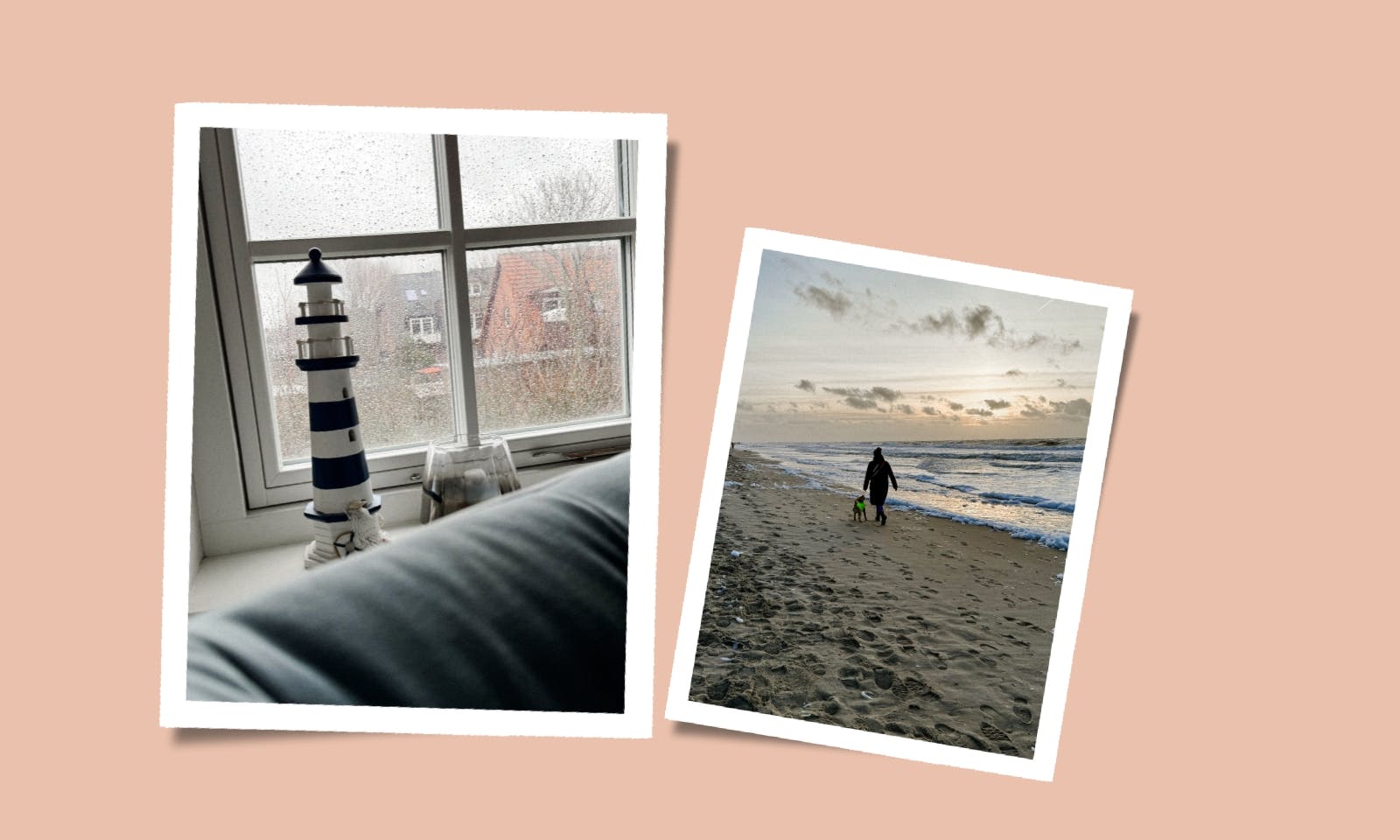 Knallfreies Silvester mit Hund: Stressfrei ins neue Jahr starten