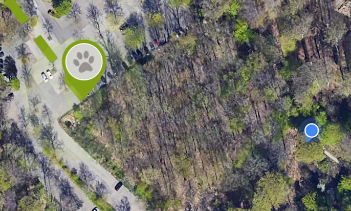 Hundetracker mit GPS von Fressnapf im Wald