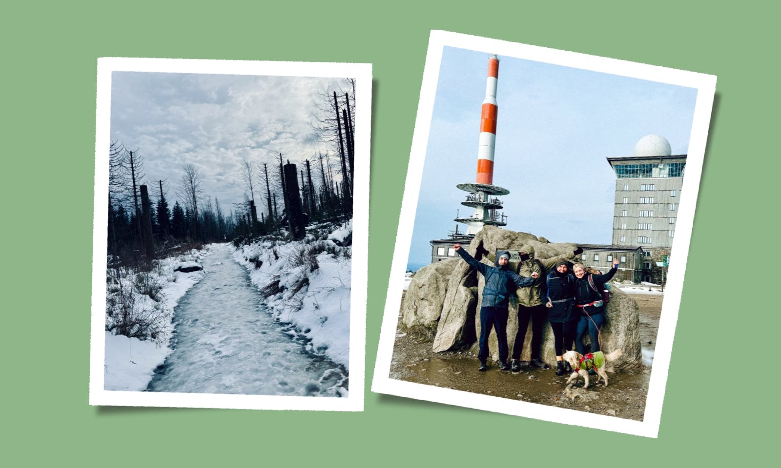 Wandern im Harz: Von Torfhaus bis nach Schierke auf dem Harzer-Hexen-Stieg